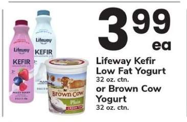 Lifeway Kefir Low Fat Yogurt or Brown Cow Yogurt
