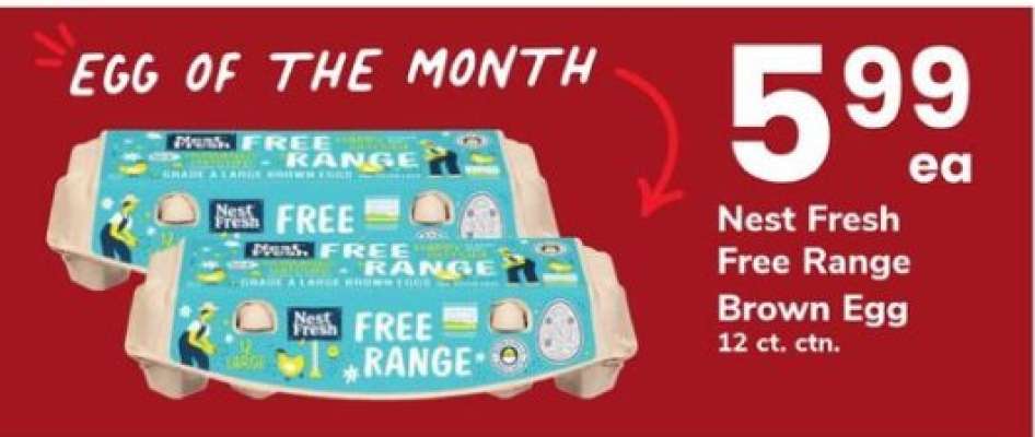 Nest Fresh Free Range Brown Egg