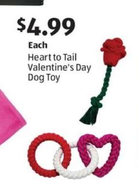 Heart to Tail Valentine's Day Dog Toy