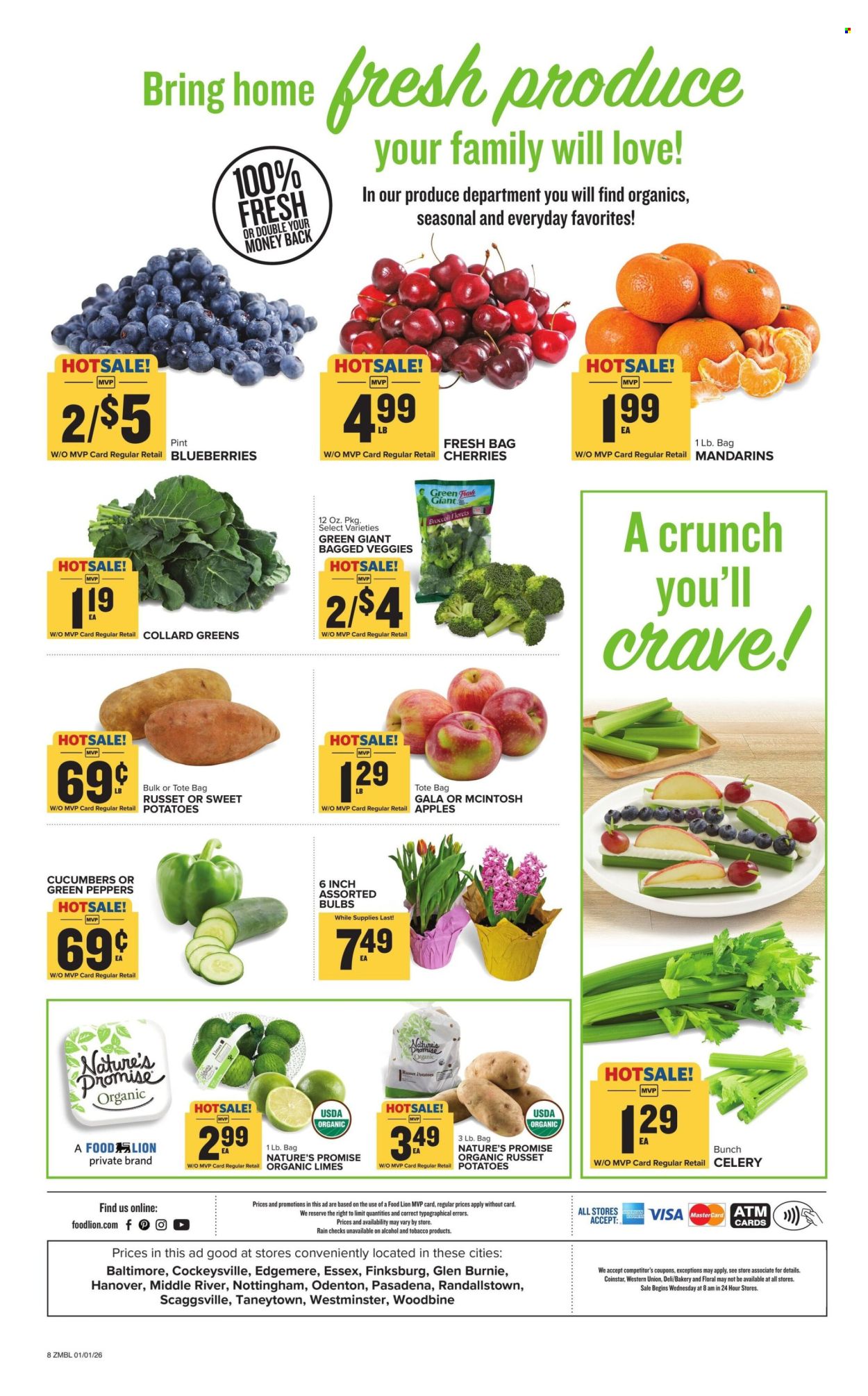 Food Lion ad - 01/01/2026 - 01/06/2026. Page 8
