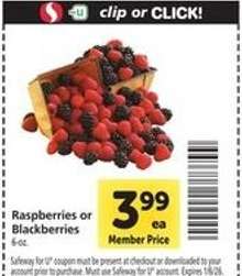 Raspberries or Blackberries