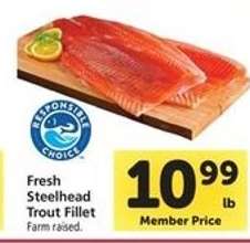 Fresh Steelhead Trout Fillet