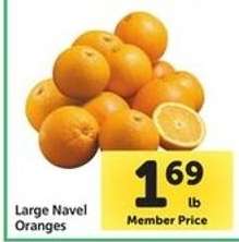 Large Navel Oranges