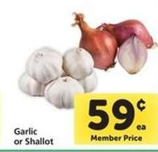 Garlic or Shallot