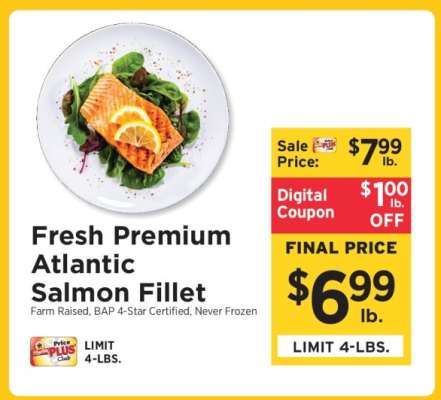 Fresh Premium Atlantic Salmon Fillet