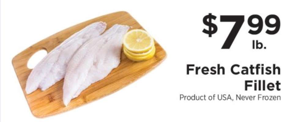 Fresh Catfish Fillet