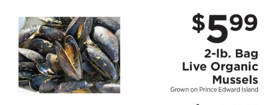 Live Organic Mussels