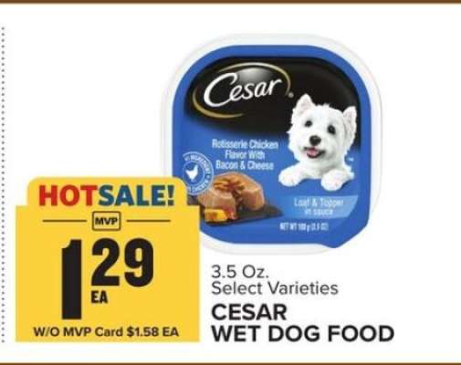 Cesar Wet Dog Food*