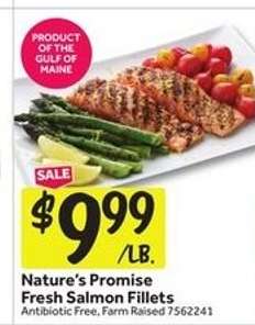 Nature's Promise Fresh Salmon Fillets