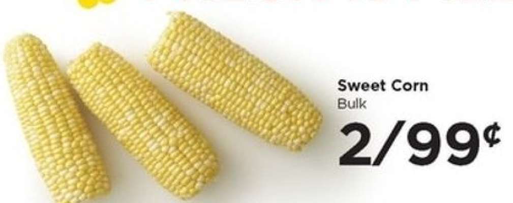 Sweet Corn