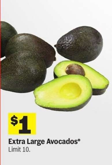 Extra Large Avocados