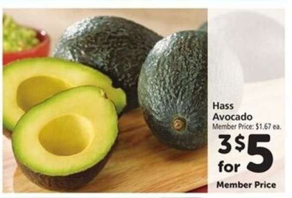 Hass Avocado