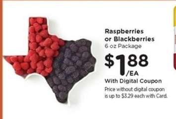 Raspberries or Blackberries