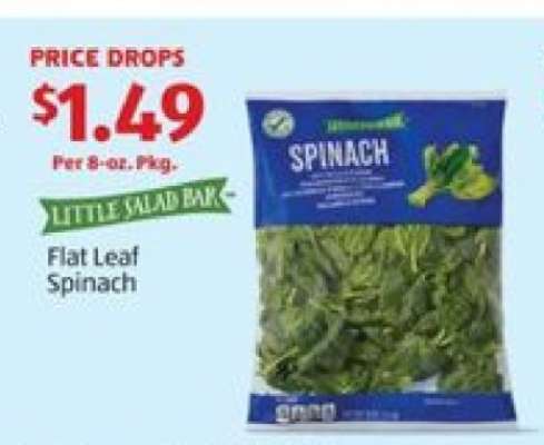 Flat Leaf Spinach