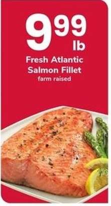 Fresh Atlantic Salmon Fillet