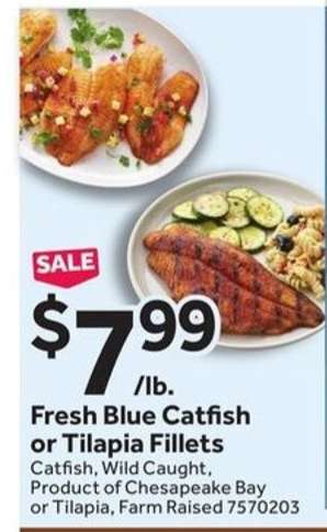 Fresh Blue Catfish or Tilapia Fillets