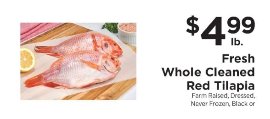 Fresh Whole Cleaned Red Tilapia