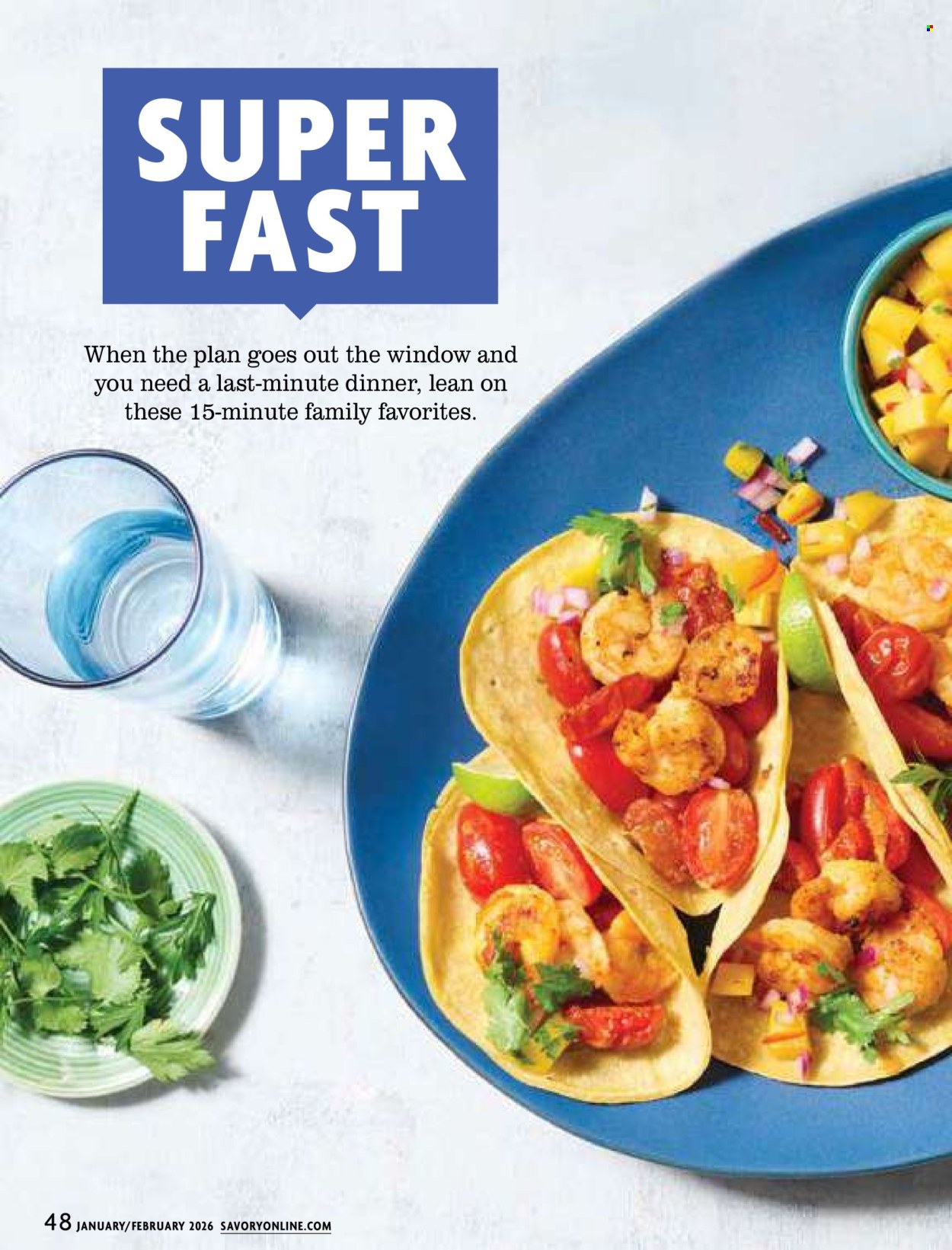 Stop & Shop ad - 01/01/2026 - 02/28/2026. Page 48