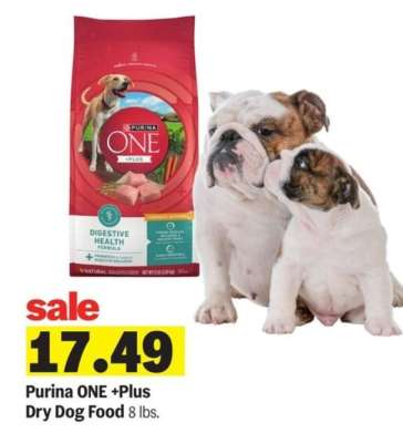 Purina ONE +Plus Dry Dog Food