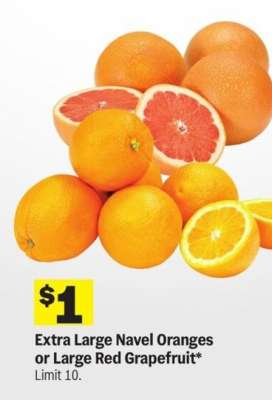 Extra Large Navel Oranges or Large Red Grapefruit