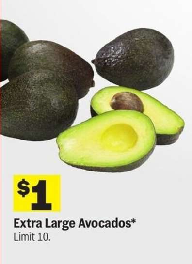 Extra Large Avocados