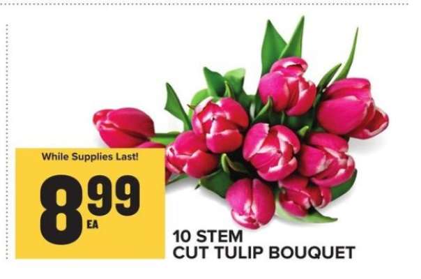 10 Stem Cut Tulip Bouquet