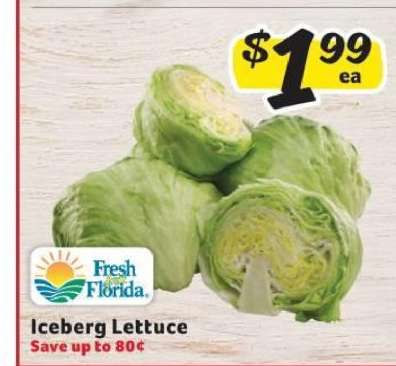 Iceberg Lettuce