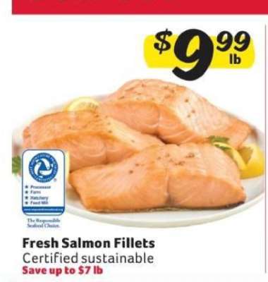 Fresh Salmon Fillets