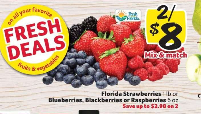 Florida Strawberries or Blueberries, Blackberries or Raspberries