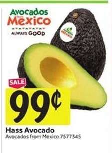 Hass Avocado