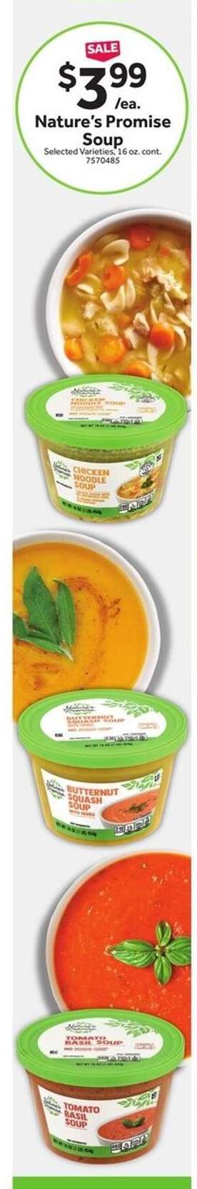 Nature's Promise Soup