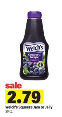 Welch’s Squeeze Jam or Jelly