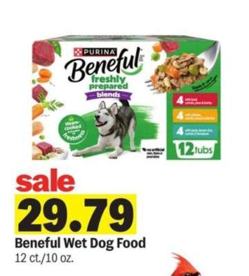 Beneful Wet Dog Food