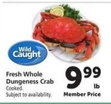 Fresh Whole Dungeness Crab
