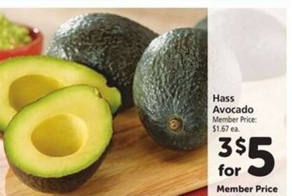 Hass Avocado