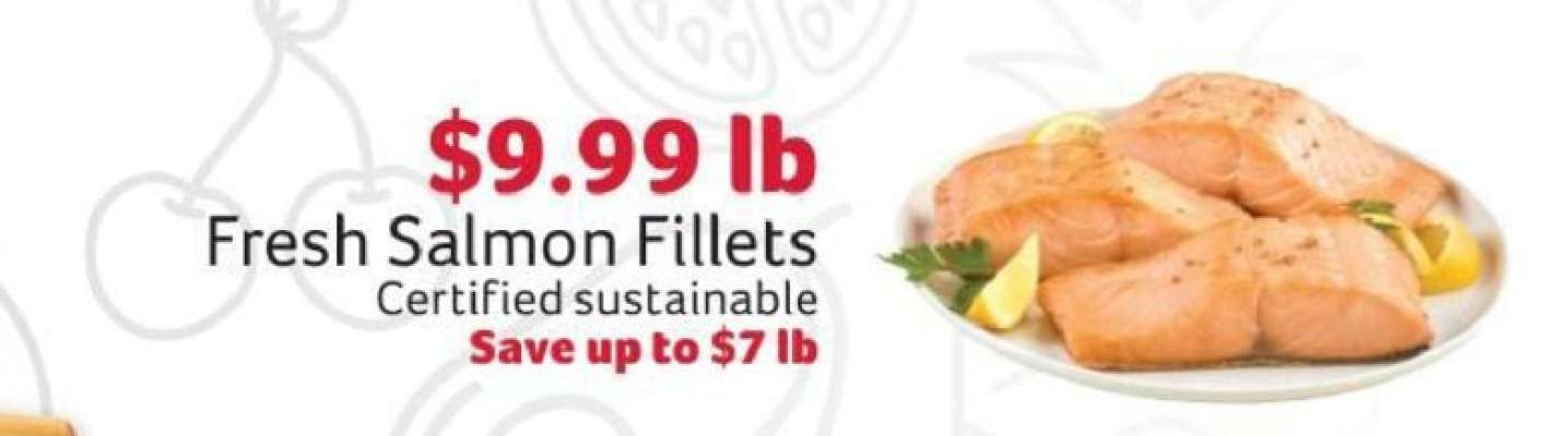 Fresh Salmon Fillets