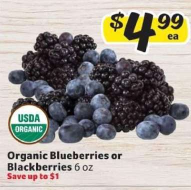 Organic Blueberries or Blackberries