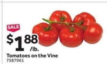 Tomatoes on the Vine