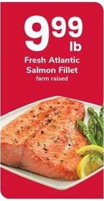 Fresh Atlantic Salmon Fillet