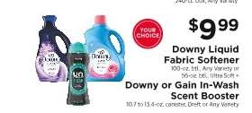 Downy Liquid Fabric Softener & Downy or Gain In-Wash Scent Booster