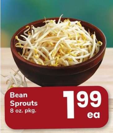 Bean Sprouts