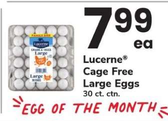 Lucerne Cage Free Large Eggs