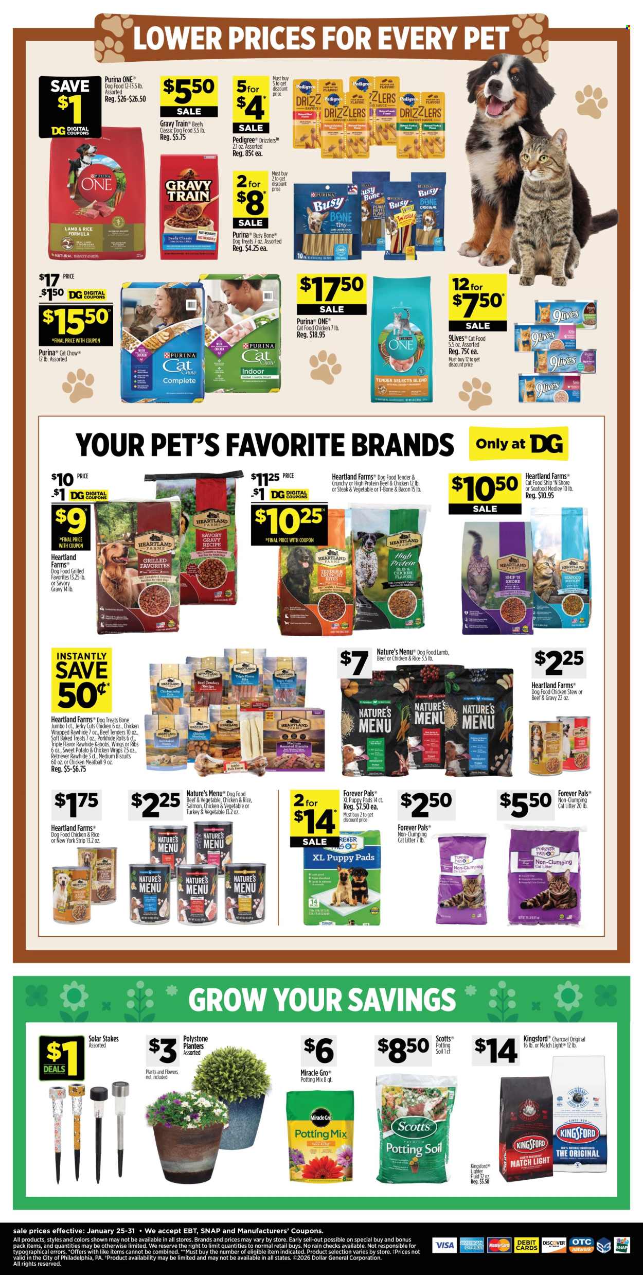Dollar General ad - 01/25/2026 - 01/31/2026. Page 19
