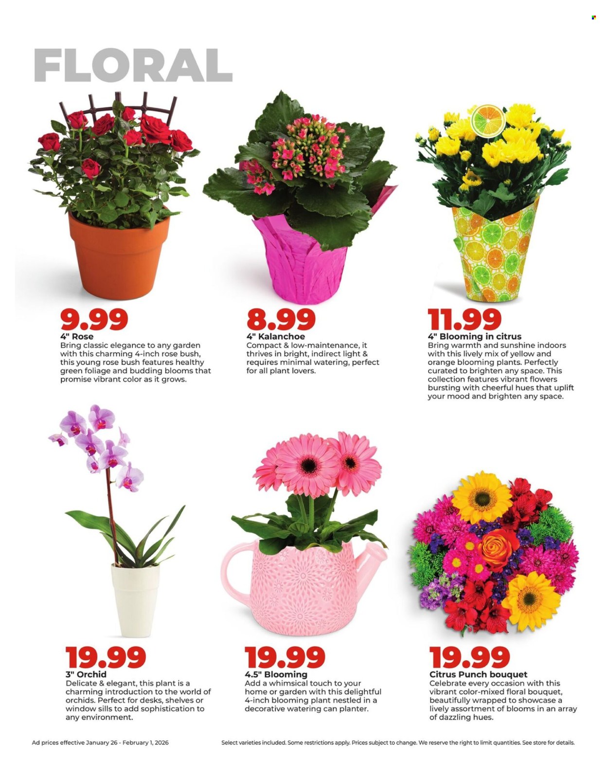 Hy-Vee ad - 01/26/2026 - 02/01/2026. Page 34