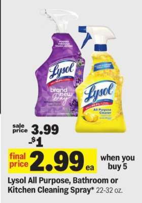 Lysol All Purpose, Bathroom or Kitchen Cleaning Spray
