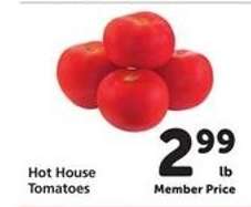 Hot House Tomatoes