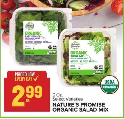 Nature's Promise Organic Salad Mix