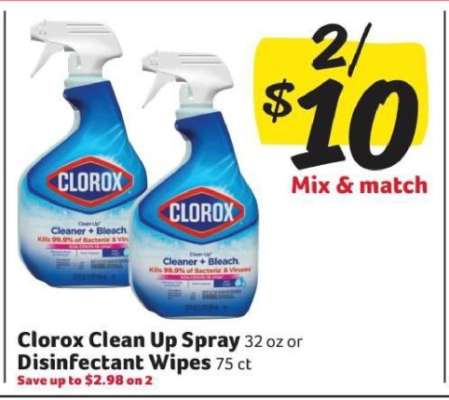Clorox Clean Up Spray or Disinfectant Wipes