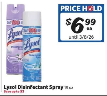 Lysol Disinfectant Spray