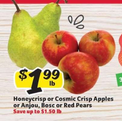 Honeycrisp or Cosmic Crisp Apples or Anjou, Bosc or Red Pears